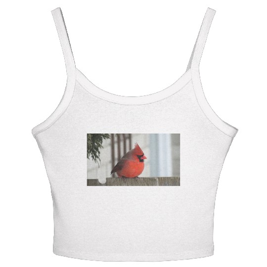 Brilliant Cardinal Bird 2 Women's Spaghetti Strap Tank Top