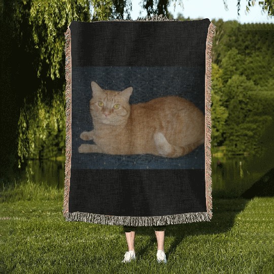 Relaxed Orange Tabby Cat Illustration Woven Blankets