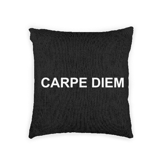 Carpe Diem Woven Pillows