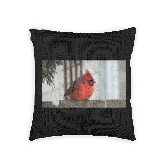Brilliant Cardinal Bird 2 Woven Pillows