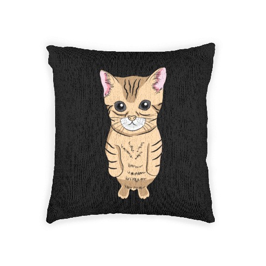 Cute Standing Cat Meme Cute Kitten Standing on Two Woven Pillows