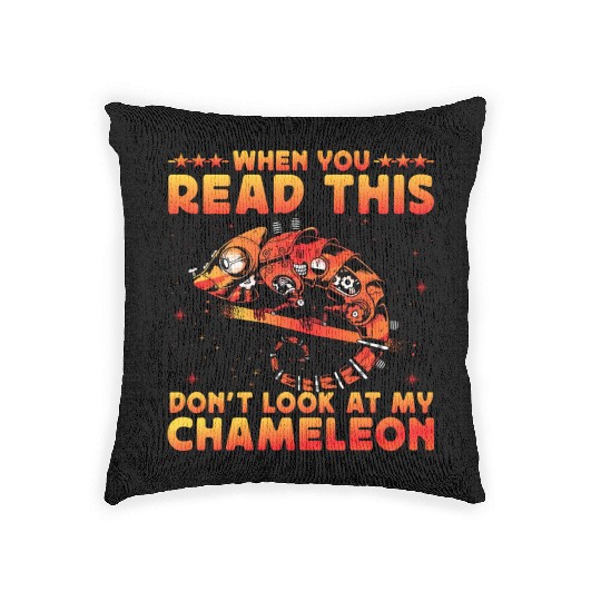 When you read this don't look at my Chameleon Woven Pillows