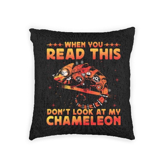 When you read this don't look at my Chameleon Woven Pillows