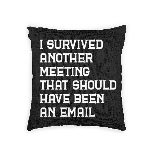 I survived another meeting that should have been Woven Pillows