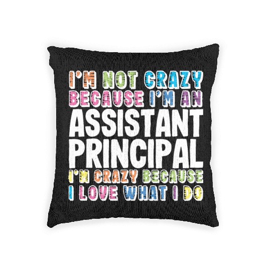 Assistant Principal Woven Pillows