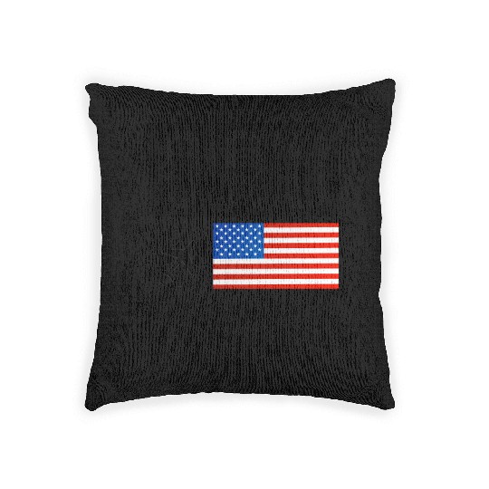 Chicago Woven Pillows