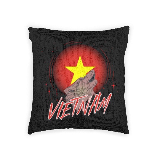 Vietnam Woven Pillows