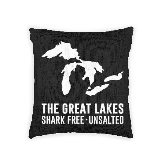 The Great Lakes Woven Pillows