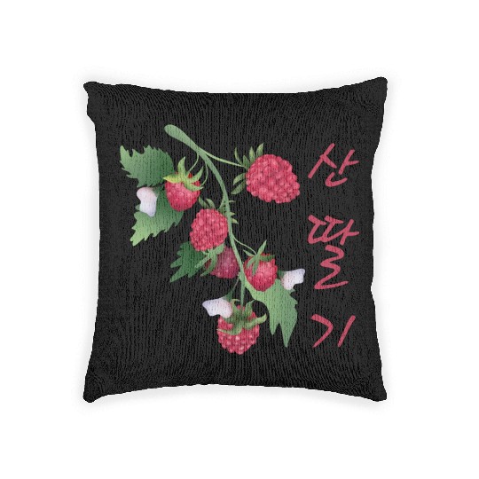 Korean Raspberry Woven Pillows