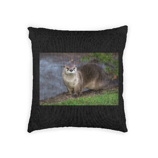Adorable Otter on the Riverbank Woven Pillows