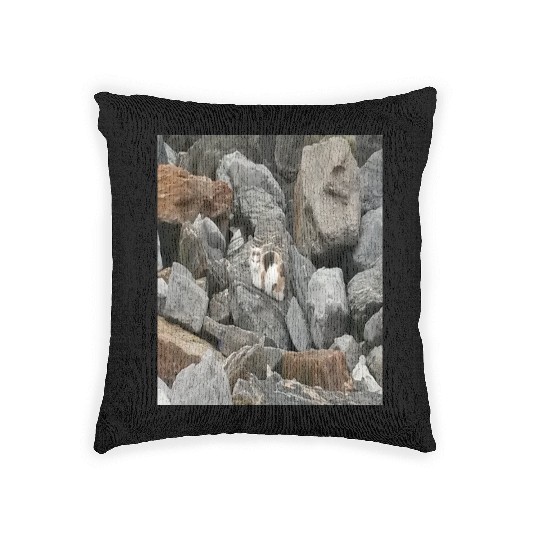 Camouflage Cat On Rocks Gifts for Animal Lovers Woven Pillows
