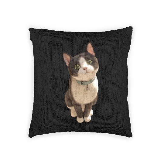 Cute kittens Woven Pillows