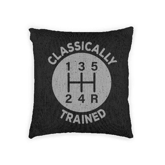 Vintage Classically Trained-Stick Shift Woven Pillows