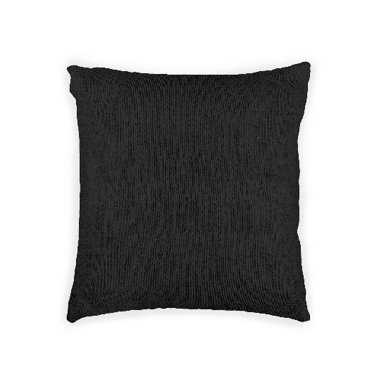 Walking Bible Collection Woven Pillows