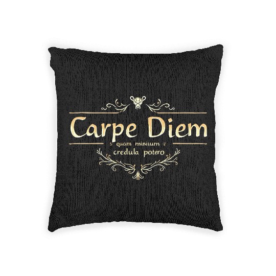 Carpe Diem Classic Latin Wisdom Woven Pillows