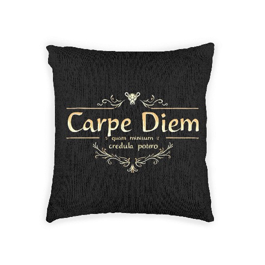 Carpe Diem Classic Latin Wisdom Woven Pillows