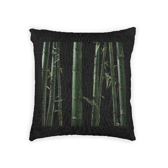 Tropical Bamboo Woven Pillows