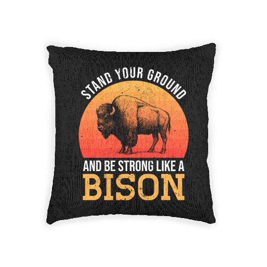 Bison - Retro Sunset Woven Pillows