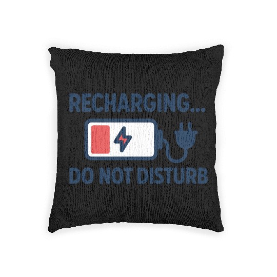 Recharging Do Not Disturb - Introvert	 Woven Pillows
