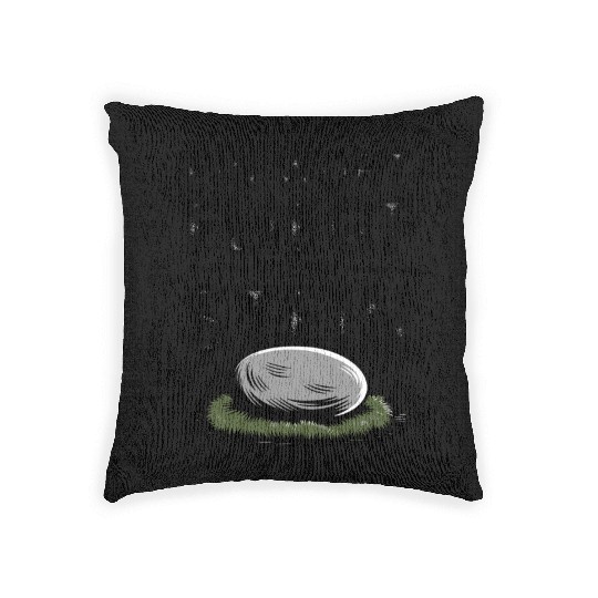 Do Not Disturb Rock Resting Peacefully on Grass Woven Pillows