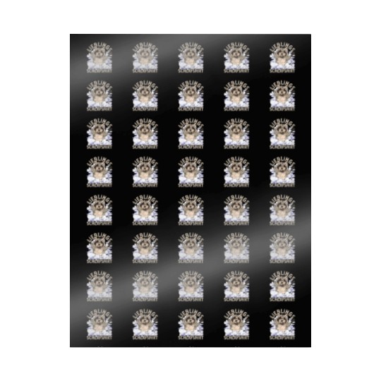 Night owl raccoon gift favorite sleep Wrapping Papers