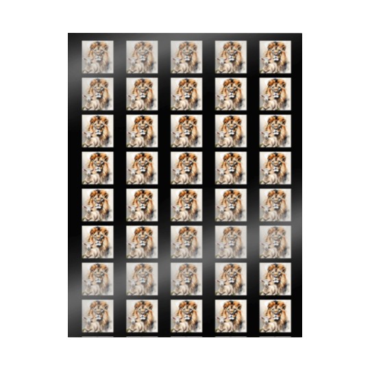 Lion and Lamb Christian Apparel Wrapping Papers