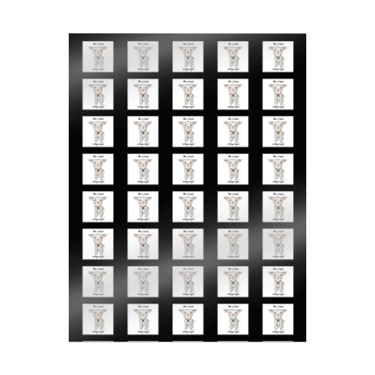 Be a Lamb and Go Vegan Wrapping Papers