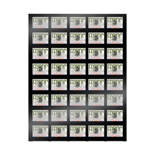 Support to the Armed Forces of DR Congo Wrapping Papers