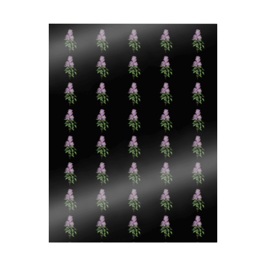Lavender Bloom Botanical Illustration Wrapping Papers
