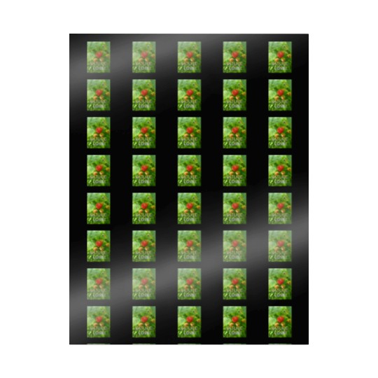 Vivid Raspberry and Greenery Nature Design Wrapping Papers