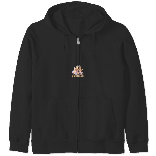 Disney Winnie the Pooh Its My Birthday Zip Hoodies