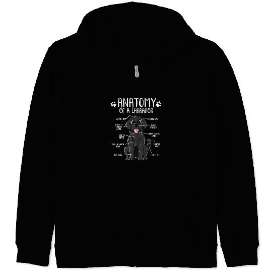 Labrador Lab Dog Funny Anatomy Labrador Retriever Black Lab Dog Owner Zip Hoodies
