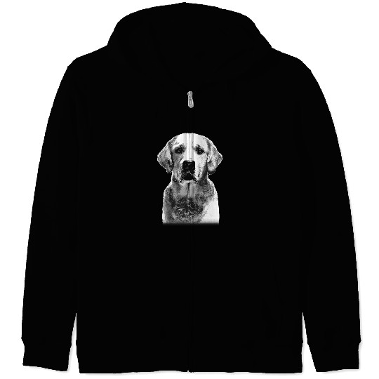 Golden Retriever Pet Face Portrait Black White 23 Zip Hoodies
