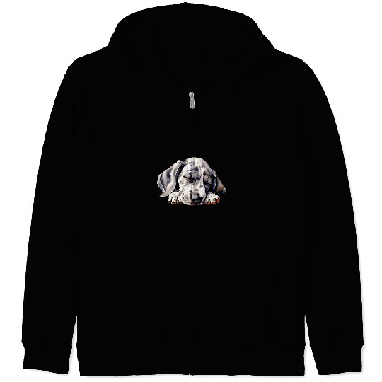 Great Dane Pet Puppy Sleeping Puppy Lovers Pets Asleep Art Zip Hoodies