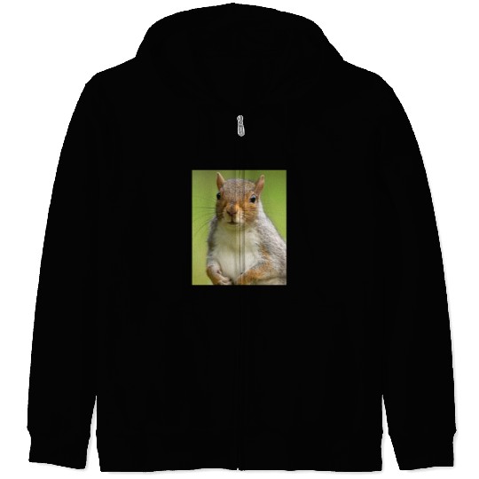 Squirrel Photo Chipmunk Animal Lover Wildlife Pun Zip Hoodies