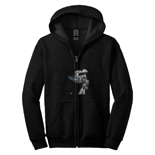 Dragon Pet NASA SpaceX Dragon Capsule At The ISS Zip Hoodies