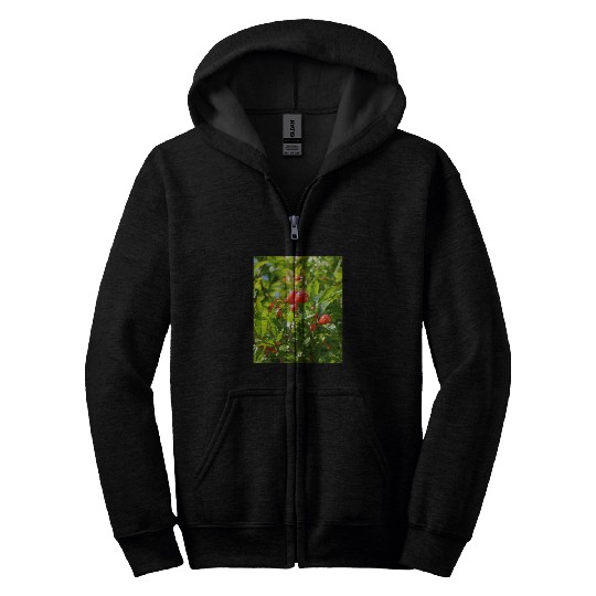 Pomegranate Closed Red Flower Bud Photography Zip Hoodies