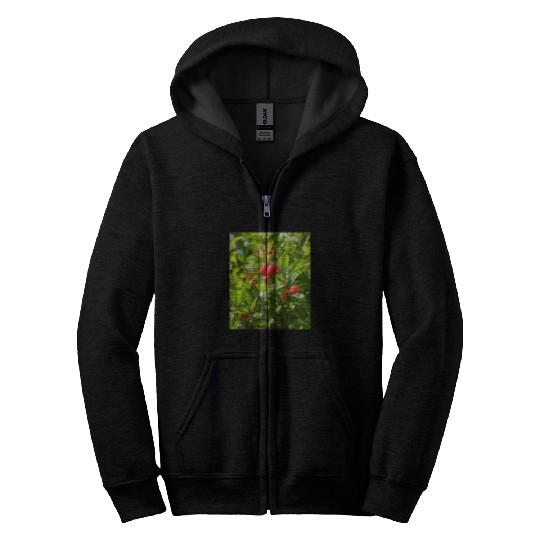 Pomegranate Closed Red Flower Bud Photography Zip Hoodies