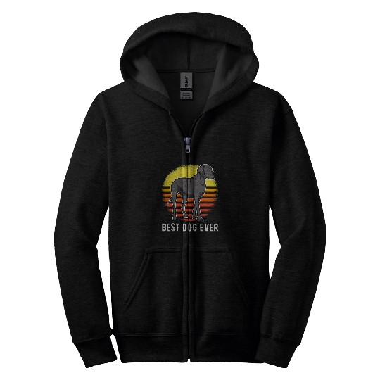 Dog Great Dane German Mastiff Great Dane Sunset 29 9 7 Zip Hoodies