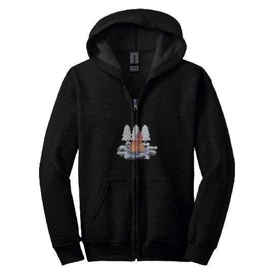 Sloth Ice Bathing Winter Refreshing Bath Zip Hoodies