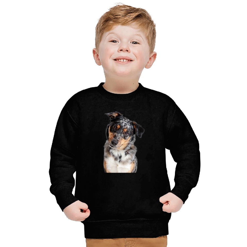 Australian Shepherd 3 Sweatshirts