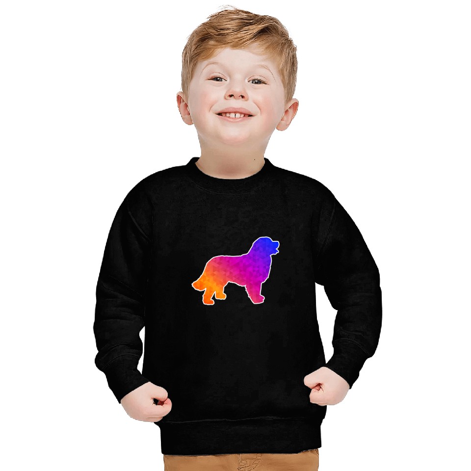 Bernese Mountain Dog Art Low Poly Design Sweatshirts