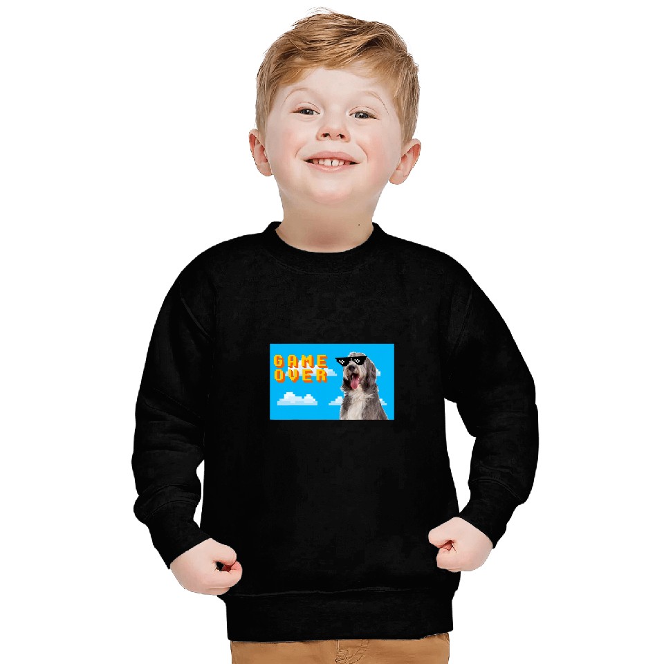 Bearded Collie Pet 8Bit Game Over Bearded Collie 2 Sweatshirts