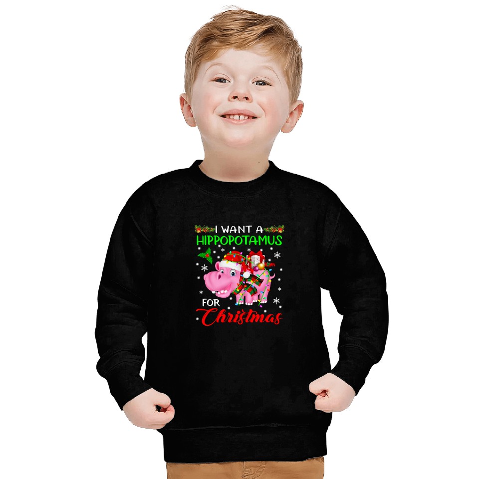 Hippo Pet I Want A Hippopotamus For Christmas xmass Lights Santa Hippo 332 Sweatshirts