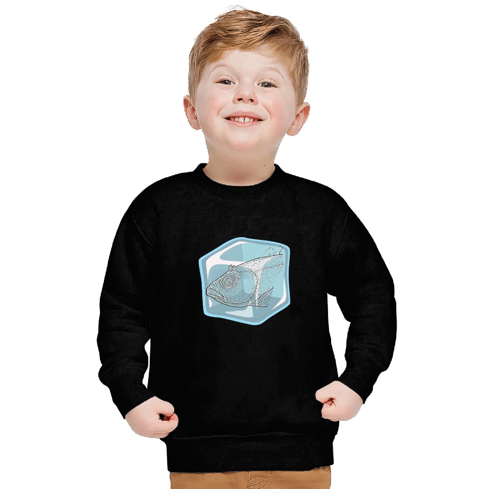 Cool Fish Head Ice Sweatshirts