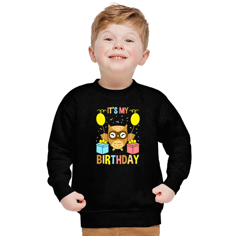 Owl Pet Its My Birthday Owl Sweatshirts
