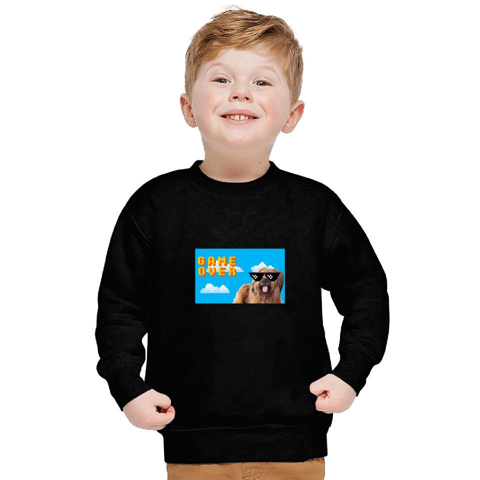 8Bit Game Over Briard Sweatshirts