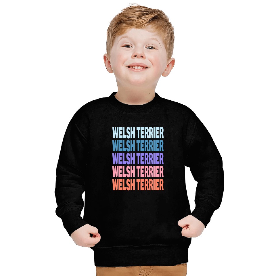 Funny Modern Repeated Text Design Welsh Terrier Sweatshirts