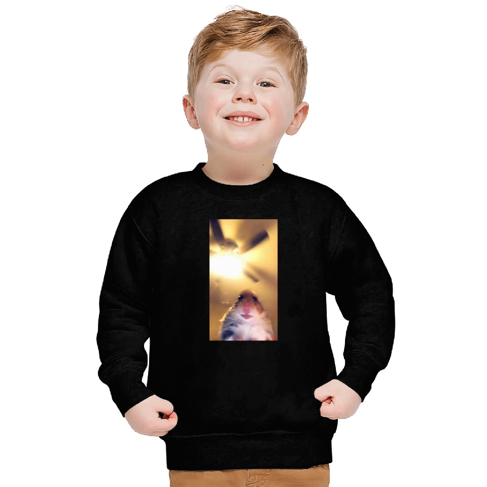Hamster Meme Camera Hamster Funny Webcam Sweatshirts