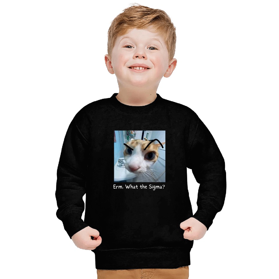 Erm What the Sigma Funny Cat Meme 1 Sweatshirts
